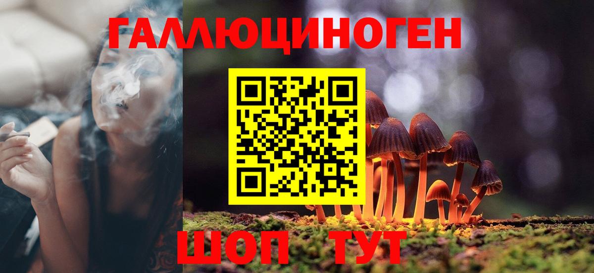 Галлюциногенные грибы Psilocybine cubensis Тосно